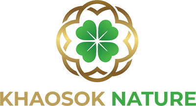 Khaosok Nature