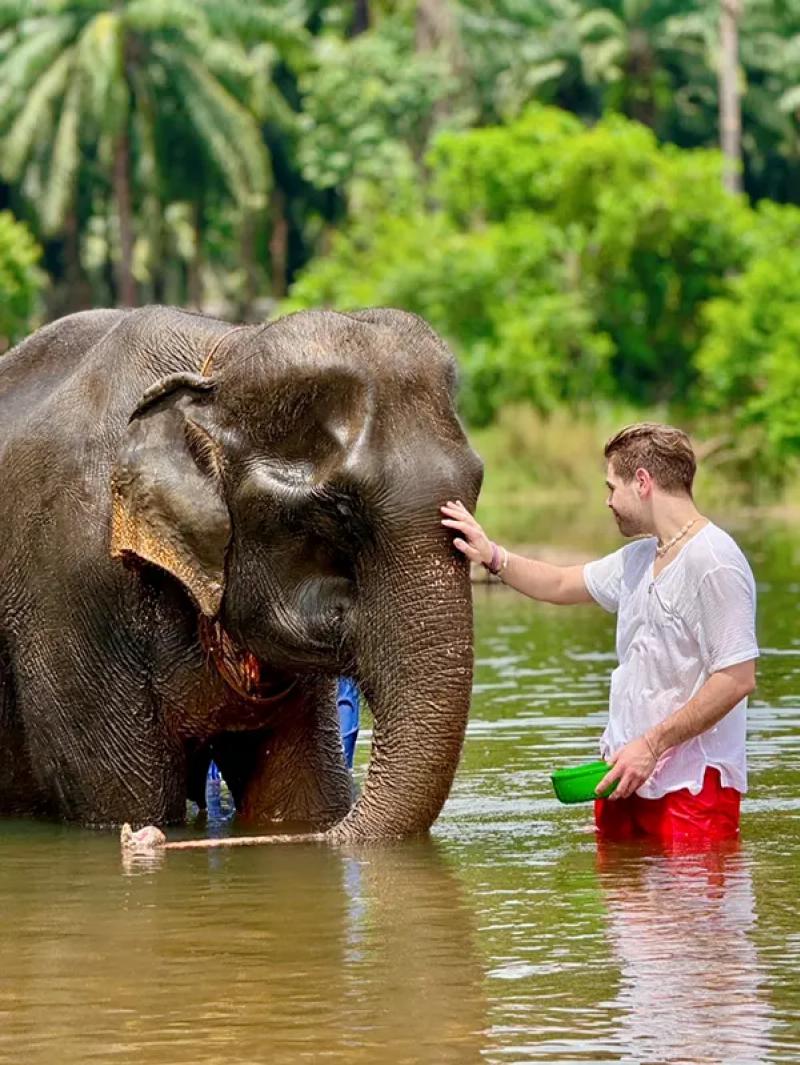 Elephant Bathing