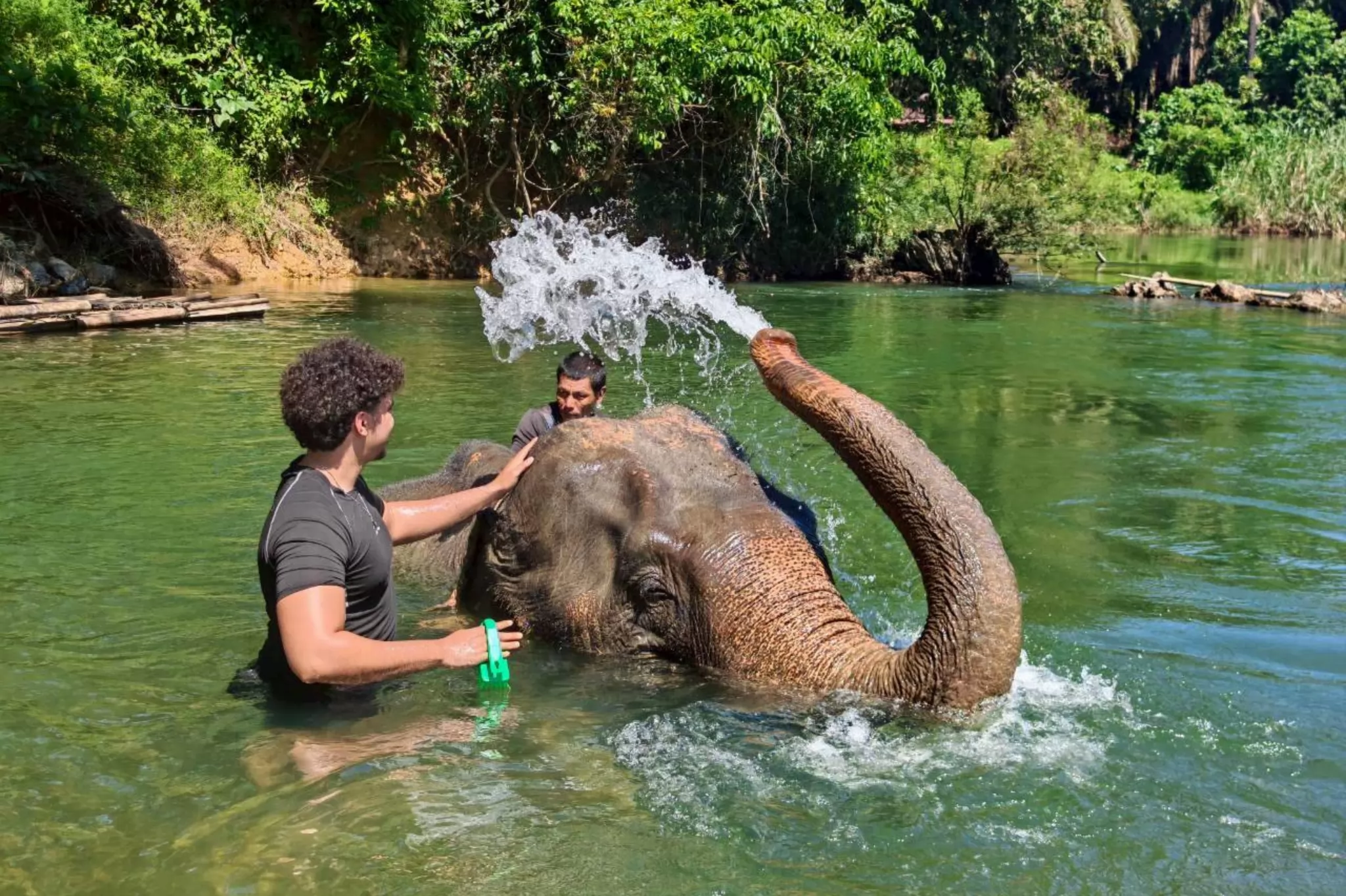 Khao Sok & Cheow Lan Lake Nature & Wildlife Experience 