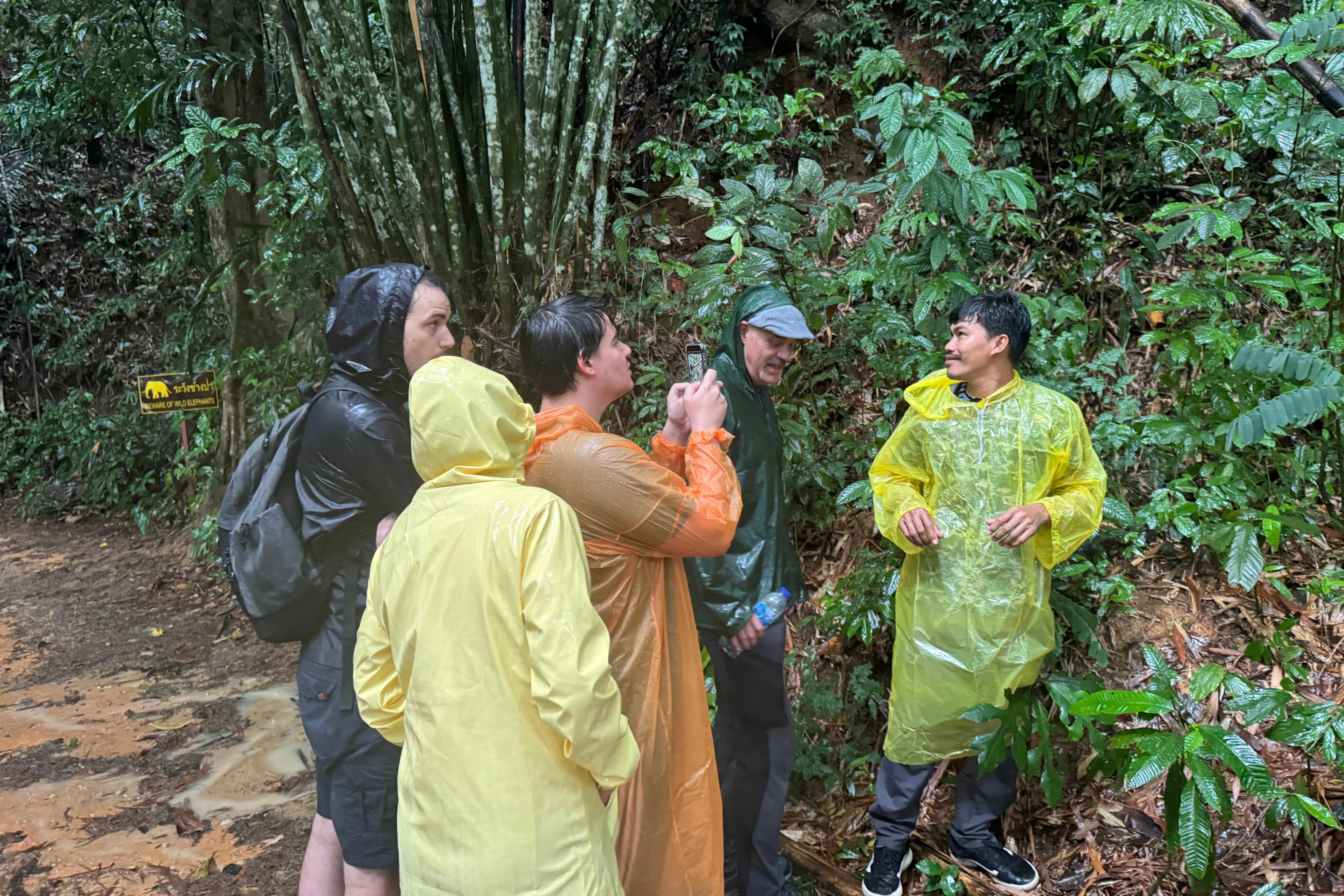 3 Days 2 Nights For 2 People Khao Sok & Cheow Lan Lake Explorer