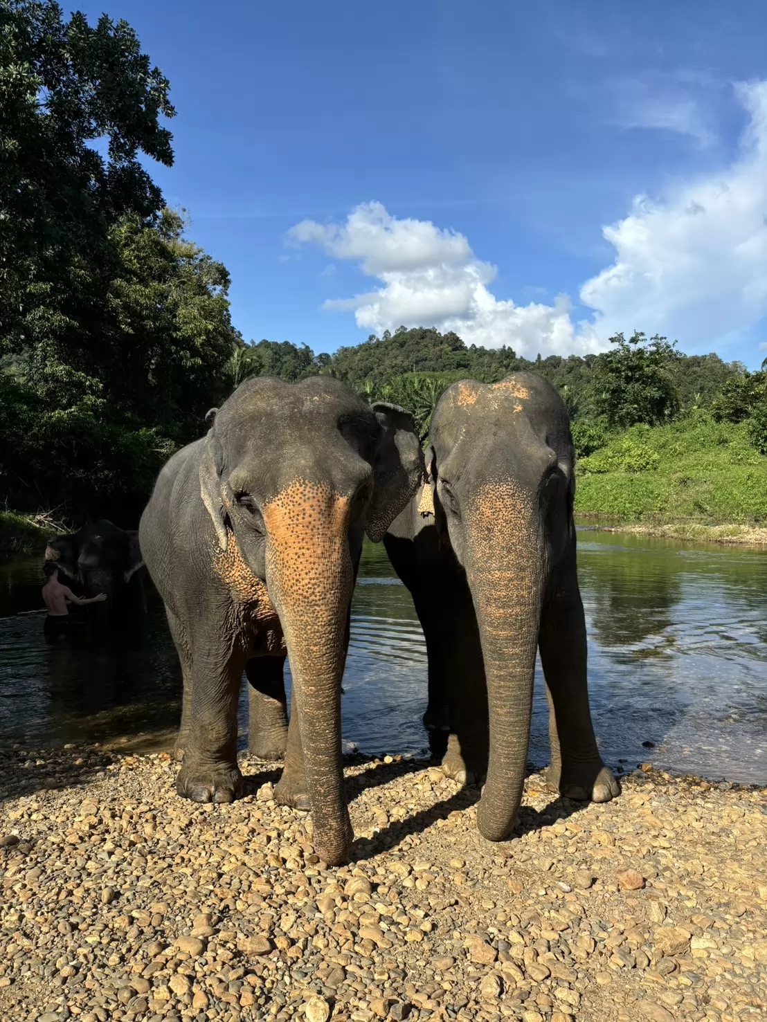 Khao Sok & Cheow Lan Lake Nature & Wildlife Experience 