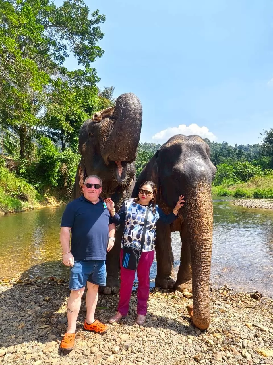 Overnight At Rafthouse Khao Sok & Cheow Lan Lake Experience