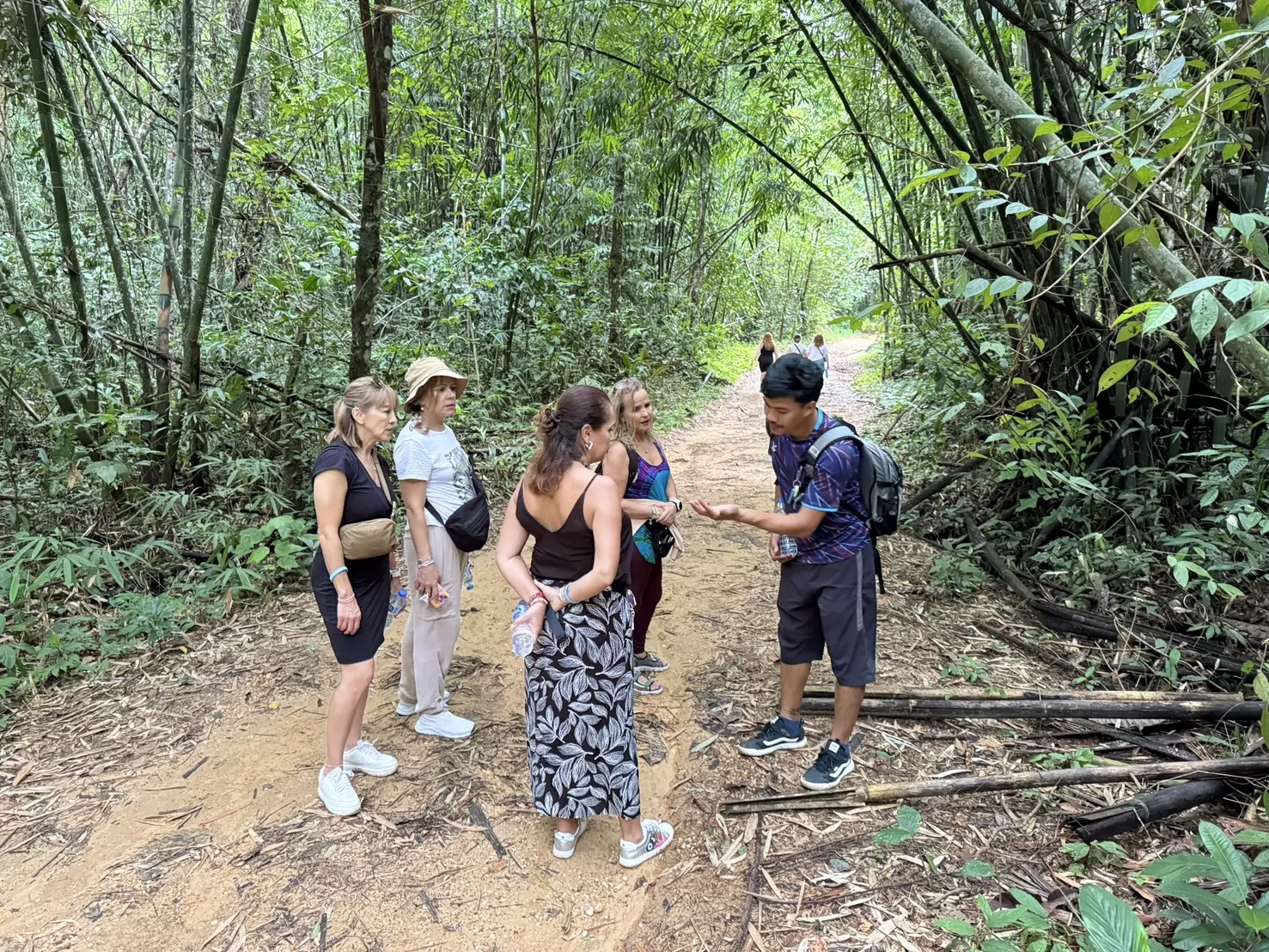 Jungle Adventure – Walk Into the Wild